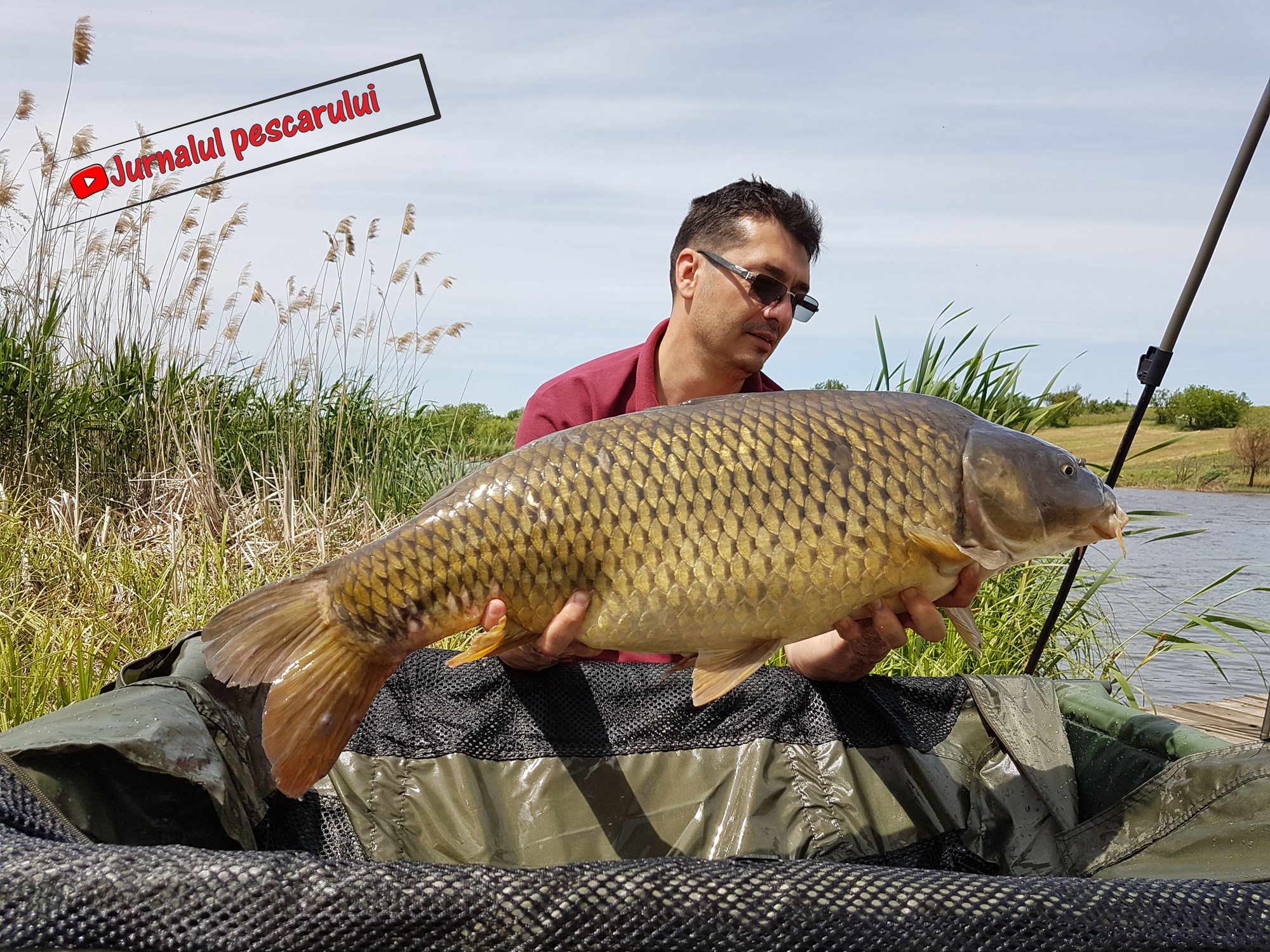 Balata LAZAR Alexandria  15 - 17 mai 2020 - 2.jpg